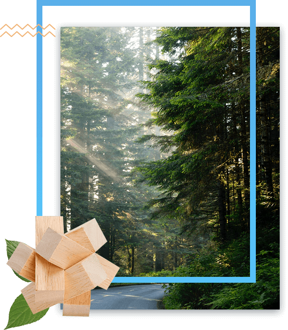 фотография кухни угловой